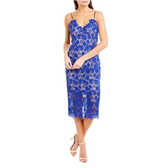 New BARDOT Tayla Cobalt Blue Lace Cocktail Sheath Midi Dress Women's Sz 6 - Picture 1 of 16